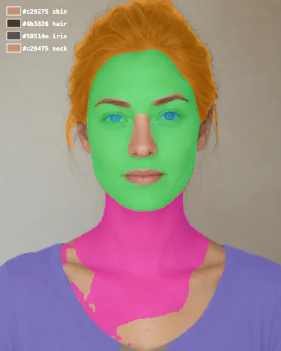 Example portrait with the skin, neck, hair, and eye regions used for a color analysis marked